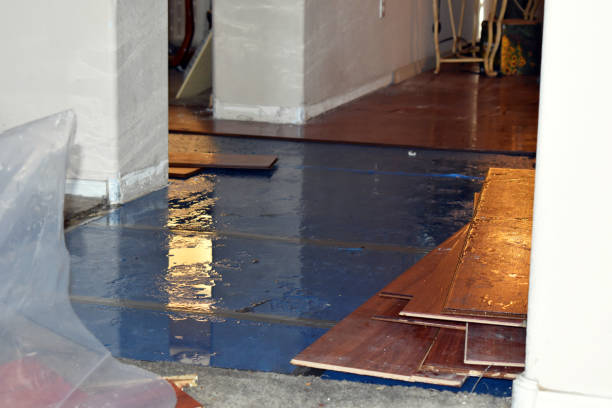 Professional Water Damage Restoration technician working in Fullerton, CA